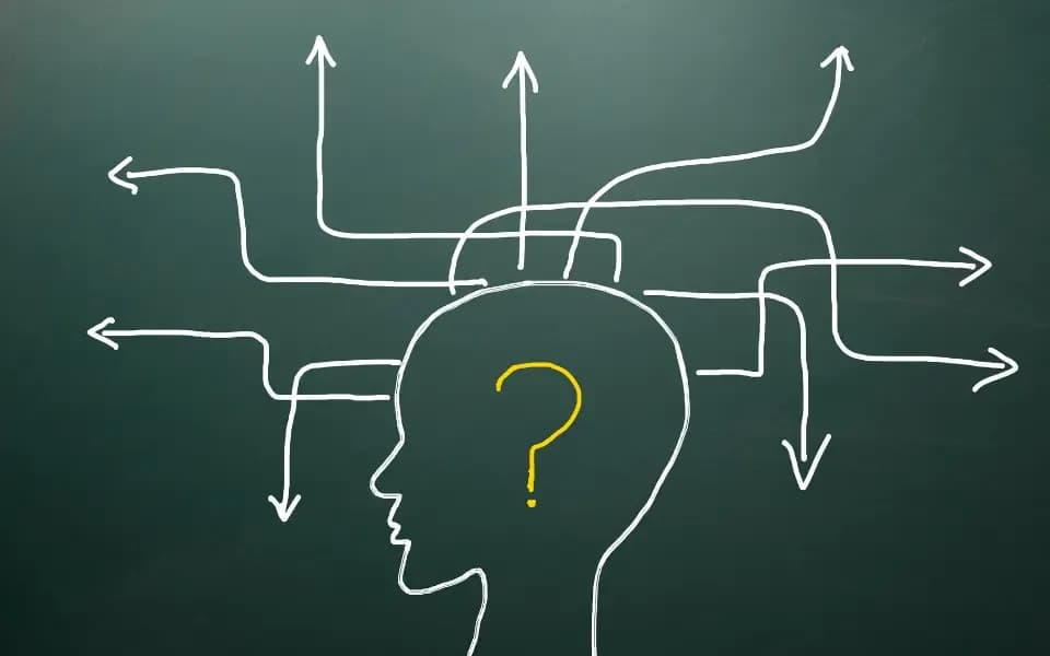 Infografika 5 kryteriów wyboru strony: budżet, cele biznesowe, wielkość firmy, grupa docelowa, zasoby